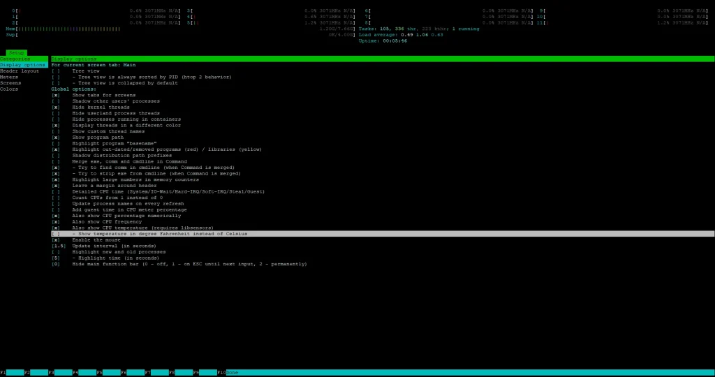 htop Display Settings