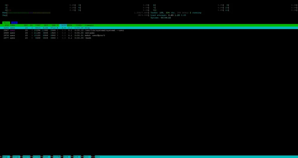 htop, Processes for a Specific User