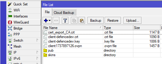 Files on MikrtoTik Device