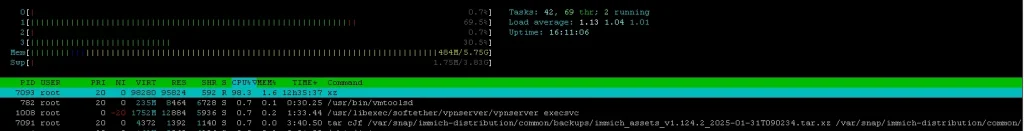 CPU Usage during backup, htop output