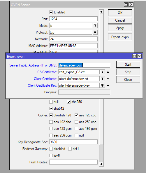 OpenVPN Config