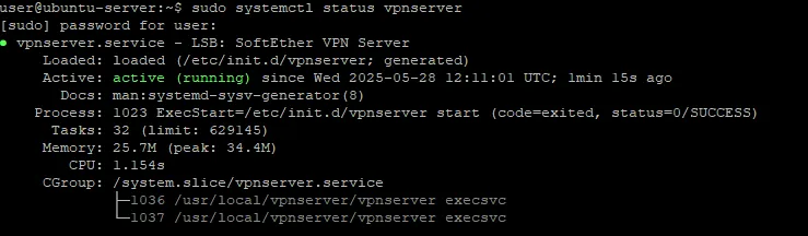SoftEther Service Status 